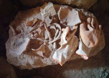 שברי עתיקות שנותרו במערה בהורקניה לאחר שנשדדה. צילום: עמיחי נעם, בית ספר שדה כפר־עציון המבצר החשמונאי שנשלט בידי שודדי עתיקות