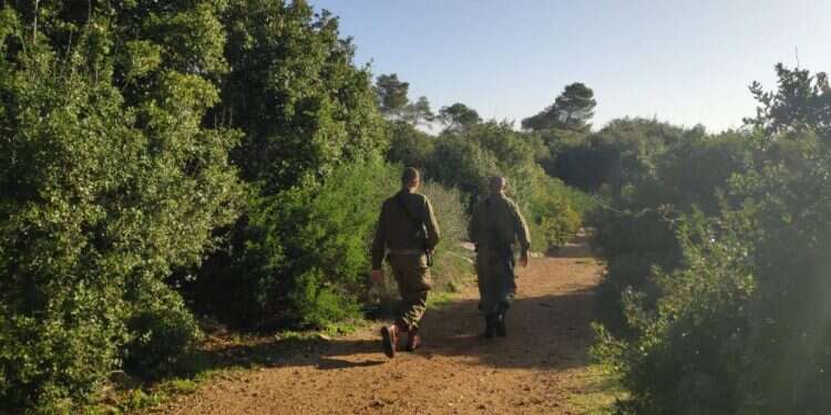 זירת מציאת הגופה. צילום: אהוד אמיתון TPS הותר לפרסום: נעצר הרוצח של אסתר הורגן ז"ל