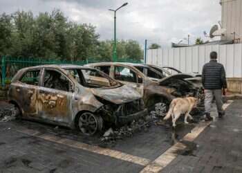 כך המשטרה יכולה לעצור את החיסולים במגזר הערבי