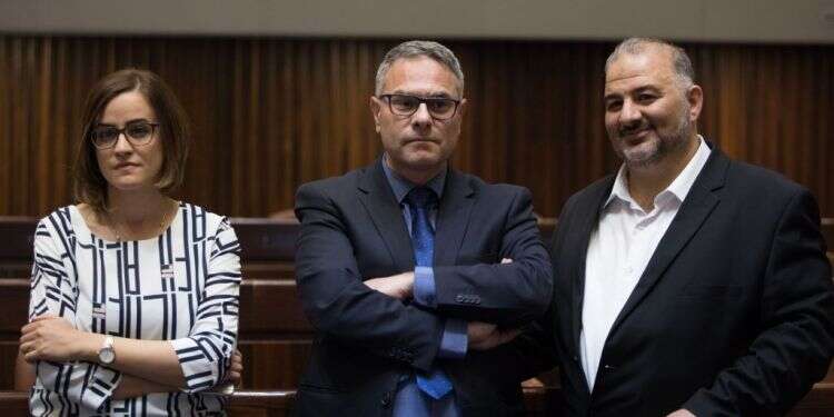 שחאדה: "אם לא נשלוט בשיח, המשותפת עלולה להתפרק"