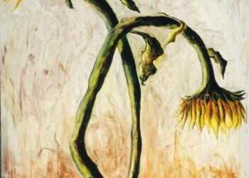 שלטון ביום המוות: מתי ההלכה מאפשרת הפסקת טיפול רפואי