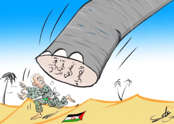 סיפוח עכשיו: במרוקו חוגגים ניצחון בסהרה המערבית