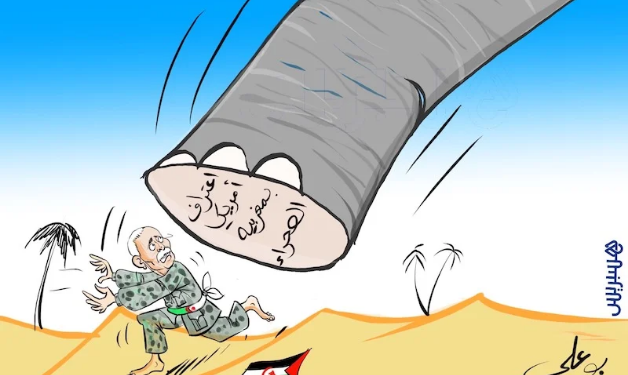 סיפוח עכשיו: במרוקו חוגגים ניצחון בסהרה המערבית