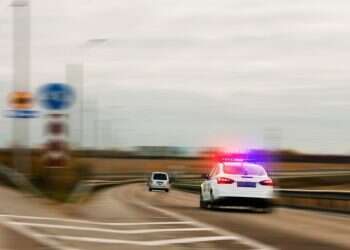 צילום: שאטרסטוק