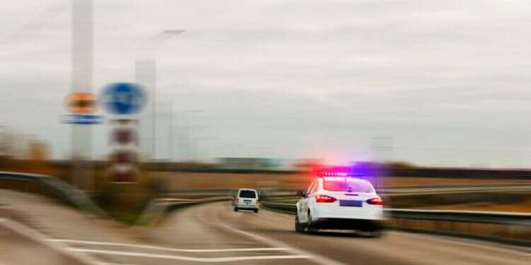 צילום: שאטרסטוק