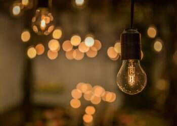 צילום: שאטרסטוק