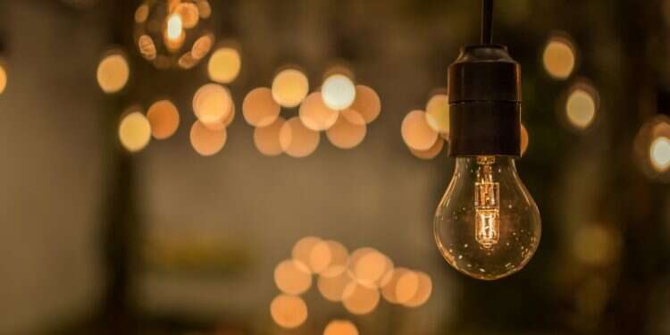 צילום: שאטרסטוק צילום: שאטרסטוק