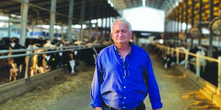 "אני לא מקבל את האמירה שתכנון יוצר מחסור"