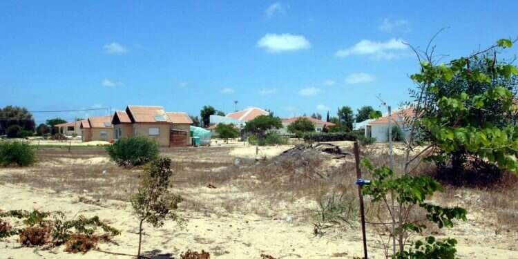 כבר לא בורחת: נרקיס משלימה עם העבר ומוכנה לעתיד