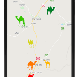 רואים את הדבשת: המיזם שימנע תאונות בנגב