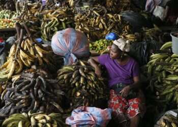 הפתגם השבועי: גרוש לבן ליום שחור