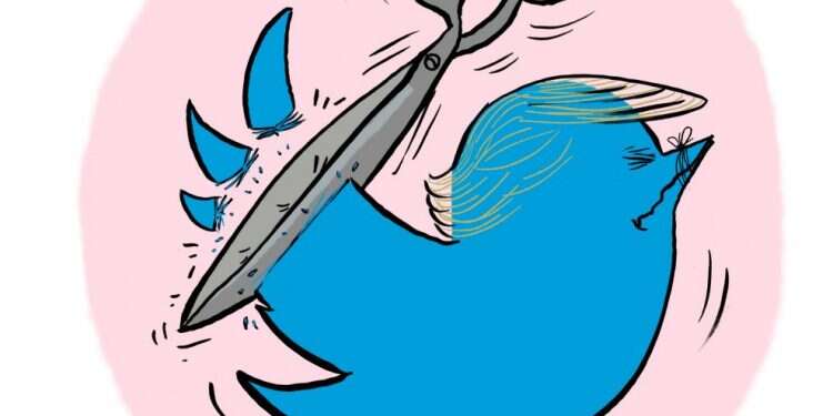 איור: שי צ'רקה איור: שי צ'רקה