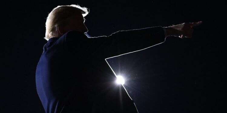 דונלד טראמפ. צילום: AFP