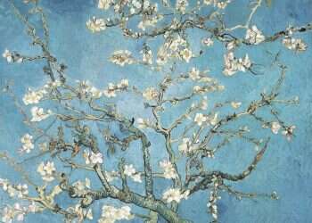 תחת שמי השקד: זווית מפתיעה לציורי ואן גוך