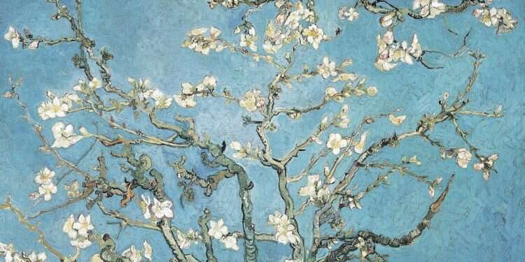 וינסנט ואן גוך,  תחת שמי השקד: זווית מפתיעה לציורי ואן גוך