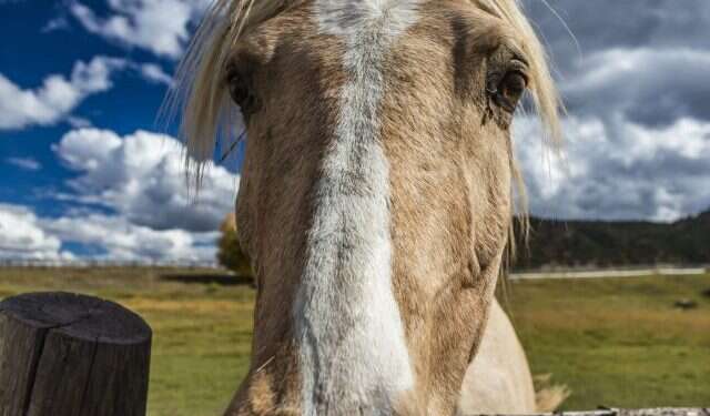 צילום: גטי אימג'ס