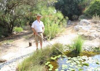 להתהלך עם מגדיר צמחים אנושי