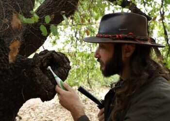 סיבוב בעין פקוחה ברמות־השבים