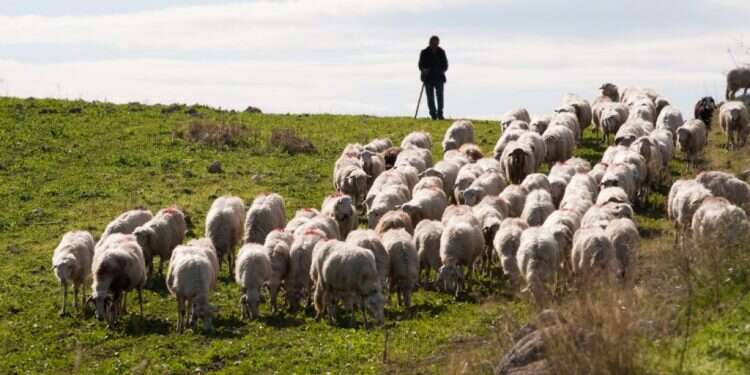 צילום: שאטרסטוק כמו עמוד ענן במדבר: ללכת, בלי פחד