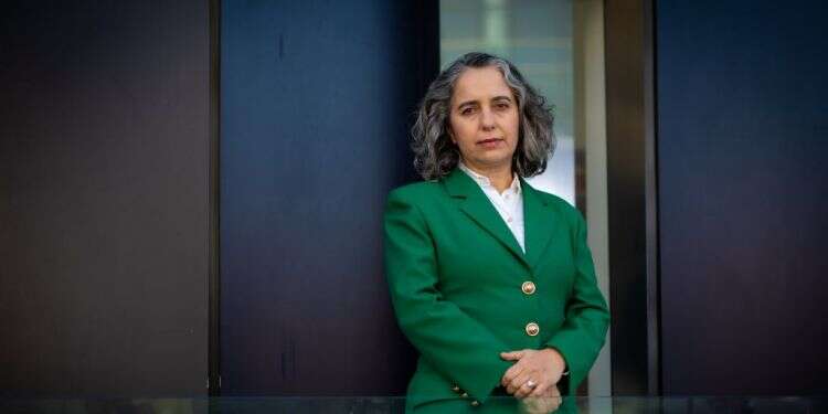 יו"ר רשות ניירות ערך: "להשאיר את הכסף בבנק זה נזק למשקיעים"