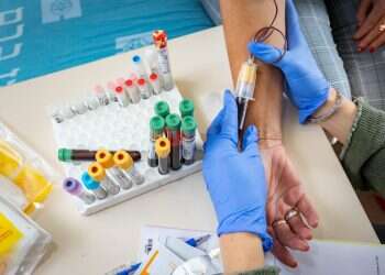 תוצרת הארץ: השלבים בדרך לחיסון כחול לבן