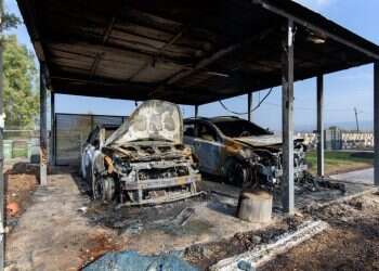 הצפון הפרוע: פרוטקשן, נקמות וסחר בנשק וסמים