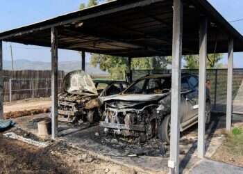 הצפון הפרוע: פרוטקשן, נקמות וסחר בנשק וסמים