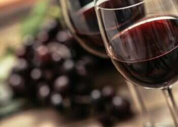 למלא את החלל: מחירה הכפול של הסגולה היהודית