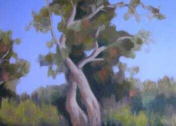 להמתיק מר במר: ריסון השיח המתחסד השולט