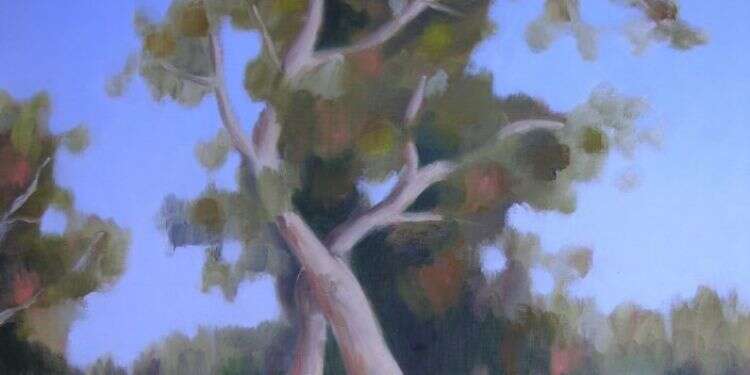 אקליפטוס על הירקון_סמדר כץ להמתיק מר במר: ריסון השיח המתחסד השולט