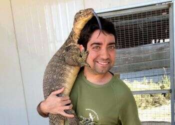 זהירות, צפע טרי: הכירו את משחרר הנחשים דוד דוד