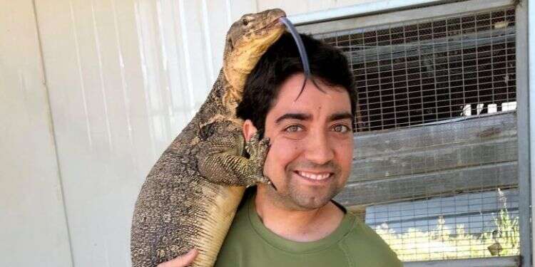 צילום: באדיבות דוד דוד זהירות, צפע טרי: הכירו את משחרר הנחשים דוד דוד