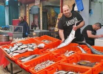 למרות הזיהום בחופים, הדייגים טוענים שדגי הים ראויים למאכל