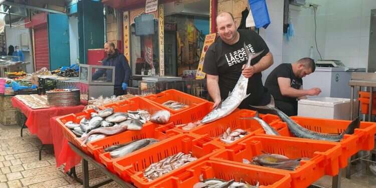 למרות הזיהום בחופים, הדייגים טוענים שדגי הים ראויים למאכל