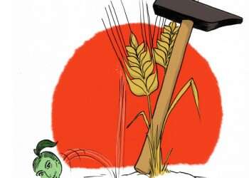 איור: שי צ'רקה