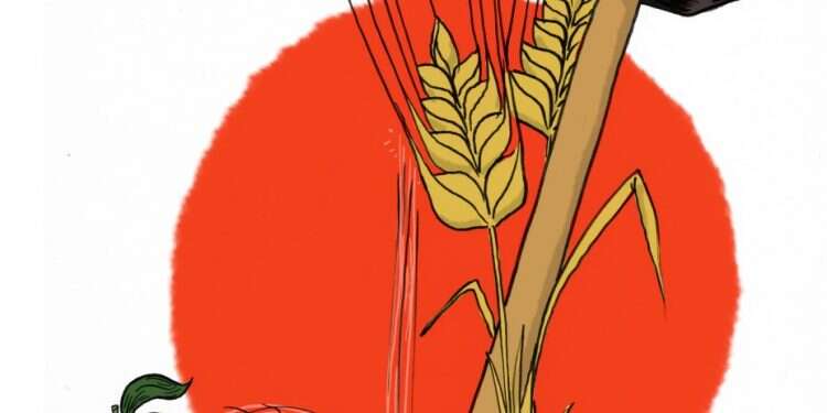 איור: שי צ'רקה איור: שי צ'רקה