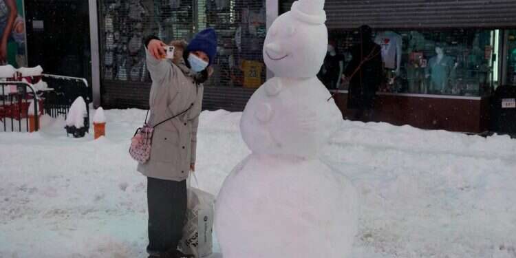 הַגִּ'יהָאד שֶׁל הַבִּיזָאר