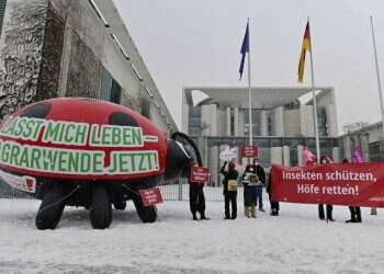 ממשלת גרמניה אוסרת הרעלת חרקים, החקלאים זועמים