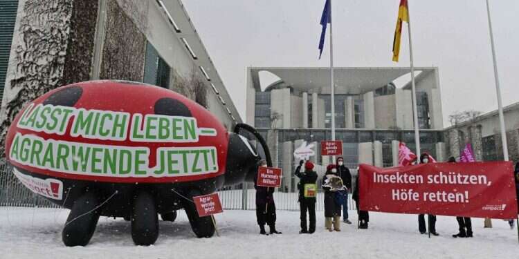 ממשלת גרמניה אוסרת הרעלת חרקים, החקלאים זועמים