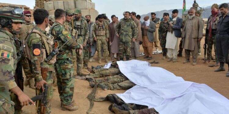 חיילי צבא אפגניסטן עומדים מעל גופות של לוחמי טאליבן. צילום: AFP  30 לוחמי טאליבן נהרגו מפיצוץ במהלך שיעור הכנת פצצות