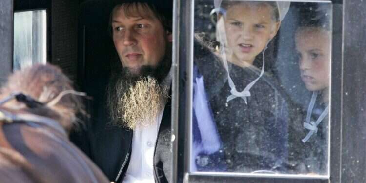 המשפחה מורכבת משני ילדים יתומים ודודם שמגדל אותם בקהילה של בני האֵמיש בפנסילבניה. פנסילבניה, 2006. צילום: AP מֵעֵבֶר לחומות שביניהם: כשמצליחים למצוא סדקים בסטריאוטיפ