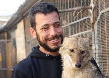 פגישה עם רובין הוד של חיות הבר בישראל