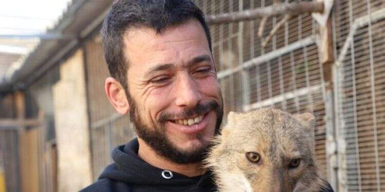 מוחתמת, לא תצא לחופשי. תנת הבית גילי. צילום: יעל (פרוינד) אברהם פגישה עם רובין הוד של חיות הבר בישראל