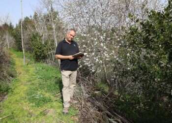 המחברות שמתעדות את הציוצים האבודים של ציפורי ישראל