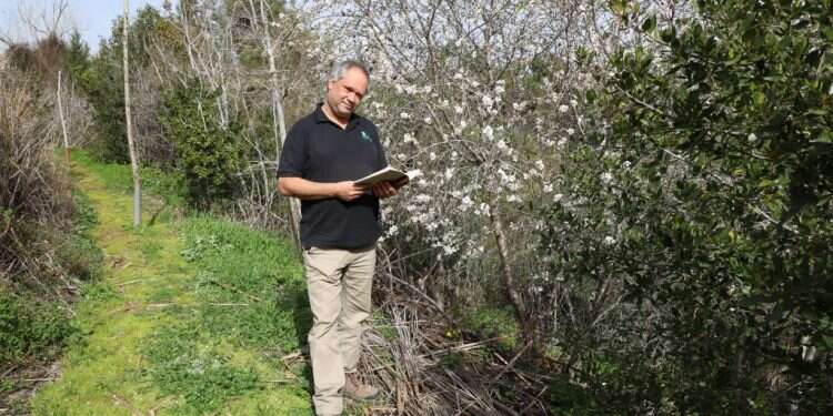 המחברות שמתעדות את הציוצים האבודים של ציפורי ישראל