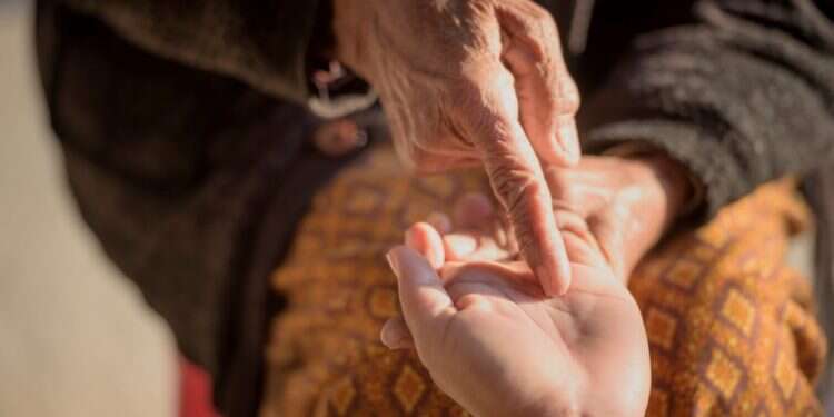 מה פרשת השבוע חושבת על מגדת העתידות של צדי צרפתי