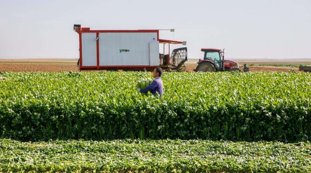מפעל נייד. הקומביין הייחודי של יראון. צילום: לירון מולדובן