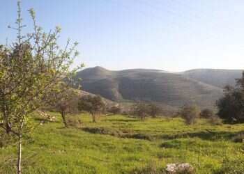 סערה סביב החלטת קק"ל: "הימין הקיצוני קובע עובדות"