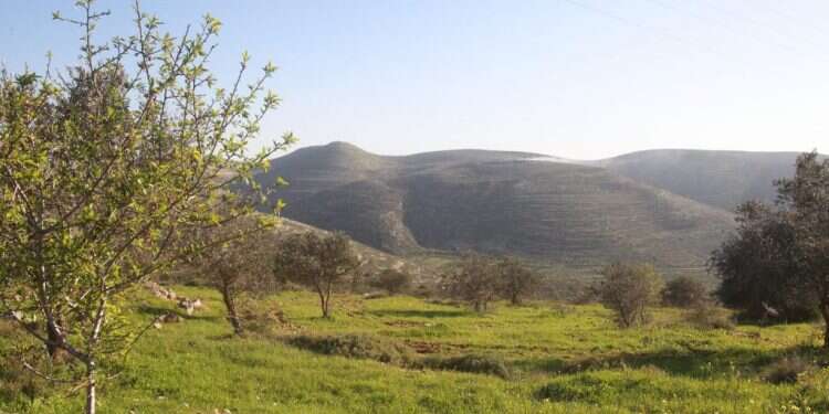 השומרון. אילוסטרציה. צילום: מרים צחי סערה סביב החלטת קק"ל: "הימין הקיצוני קובע עובדות"