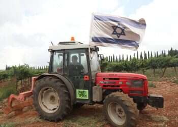 כרמי משק אחיה. צילום: מרים צחי "צו דרקוני": בג"ץ ידון בעתידו של משק אחיה בבנימין